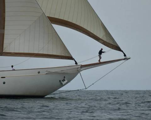 Bow Folk photo 8