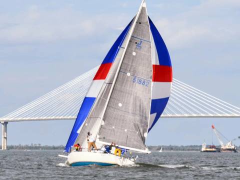 Charleston in Time of Corona photo 58