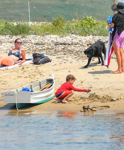 Dogs on Boats photo 2