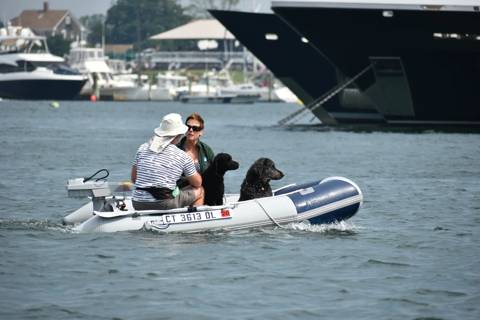 Dogs on Boats photo 3