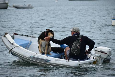 Dogs on Boats photo 10