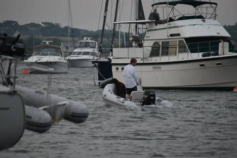 Dogs on Boats photo 14