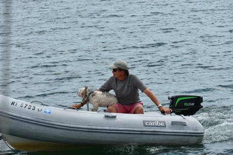 Dogs on Boats photo 15