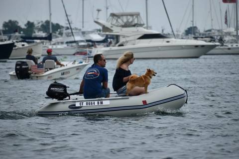 Dogs on Boats photo 19