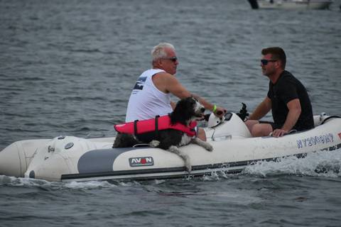 Dogs on Boats photo 21
