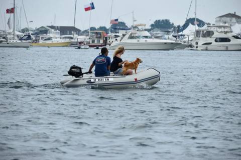 Dogs on Boats photo 24
