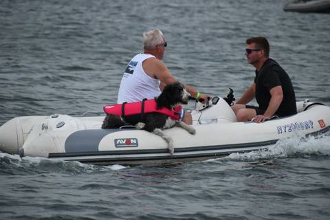 Dogs on Boats photo 26