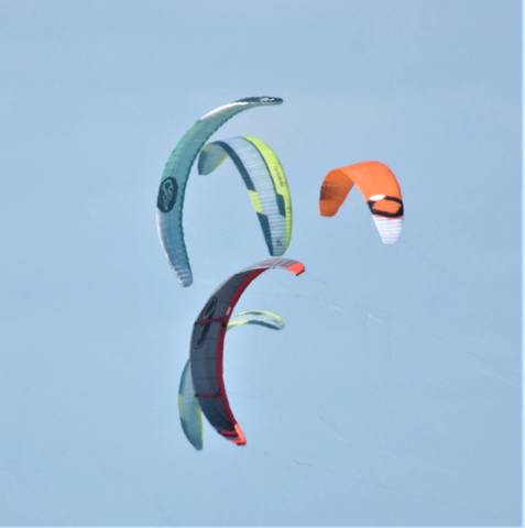 Fall Foil photo 61