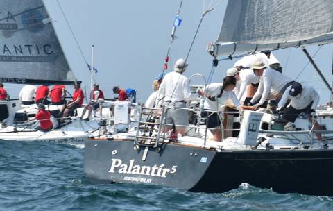 NYYC 175 photo 2