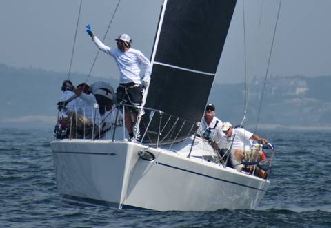 NYYC 175 photo 5
