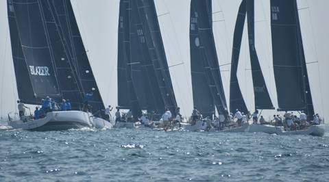 NYYC 175 photo 13