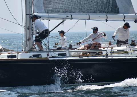 NYYC 175 photo 18