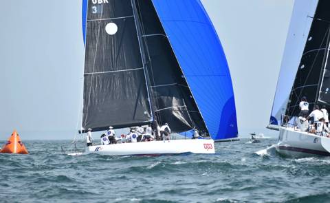 NYYC 175 photo 55