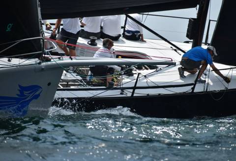 NYYC 175 photo 76