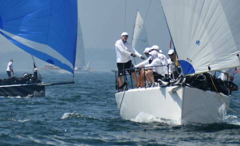 NYYC 175 photo 83