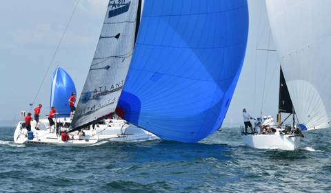 NYYC 175 photo 84