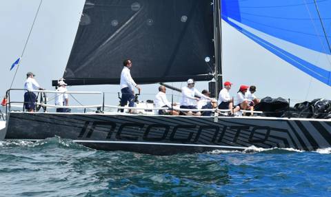 NYYC 175 photo 86