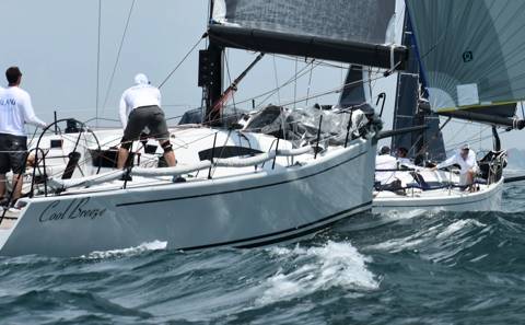 NYYC 175 photo 90