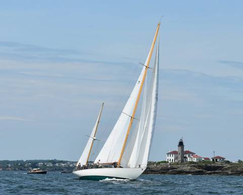 NYYC 175 photo 98