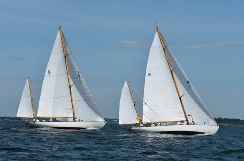 NYYC 175 photo 99