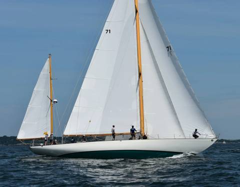 NYYC 175 photo 100