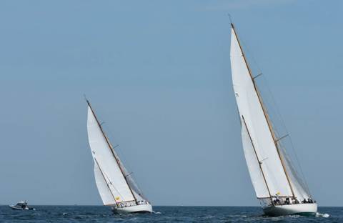 NYYC 175 photo 103