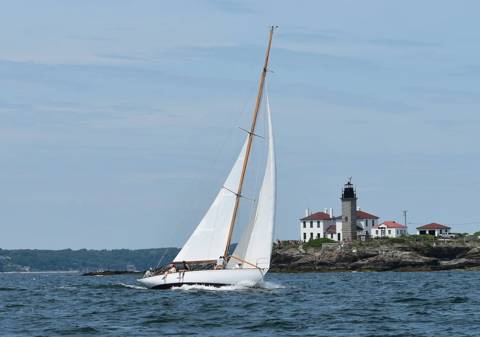 NYYC 175 photo 106