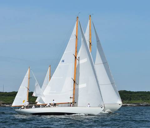 NYYC 175 photo 107