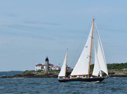 NYYC 175 photo 108