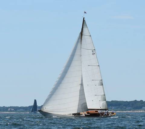 NYYC 175 photo 113