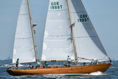 NYYC 175, photo 114