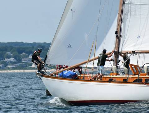 NYYC 175 photo 144