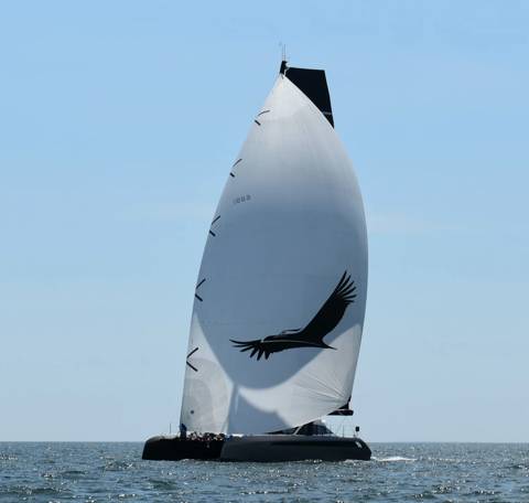 NYYC 175 photo 148