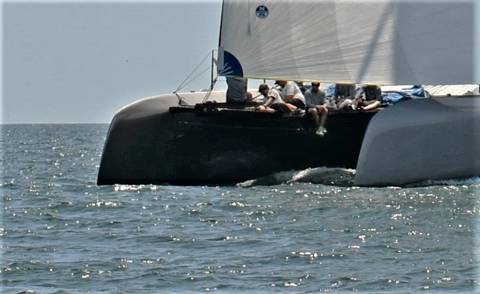NYYC 175 photo 149