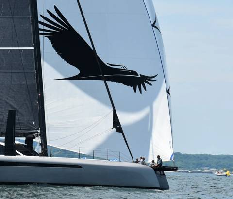NYYC 175 photo 150
