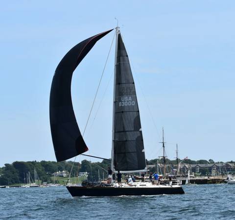 NYYC 175 photo 170