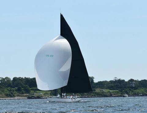 NYYC 175 photo 172