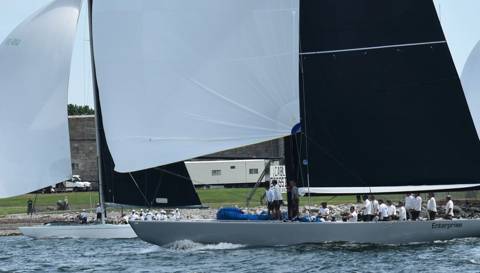 NYYC 175 photo 174