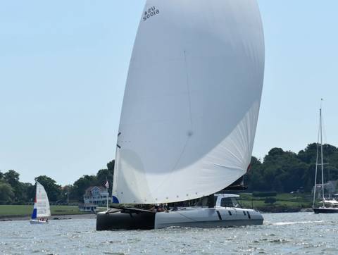NYYC 175 photo 189