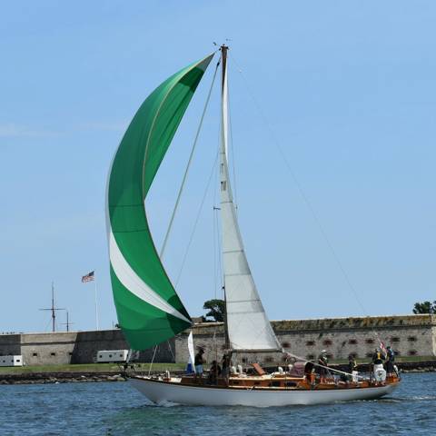 NYYC 175 photo 196