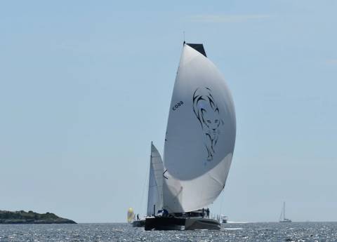 NYYC 175 photo 199