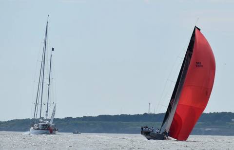 NYYC 175 photo 205