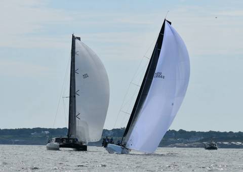 NYYC 175 photo 206