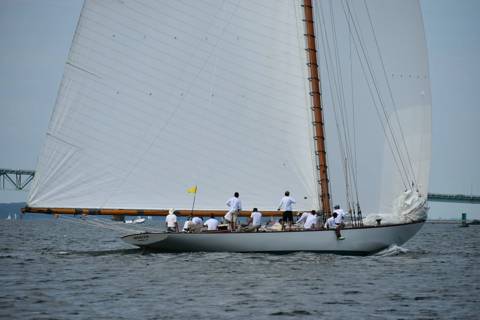 NYYC 175 photo 211