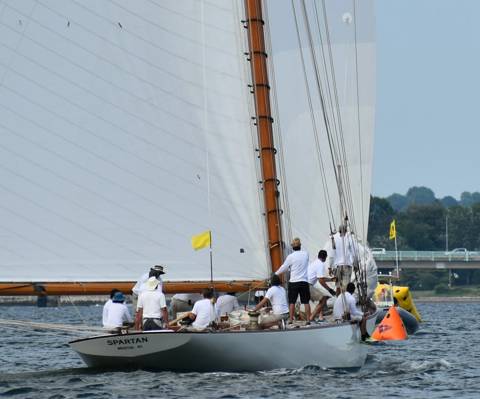 NYYC 175 photo 212