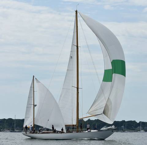 NYYC 175 photo 214