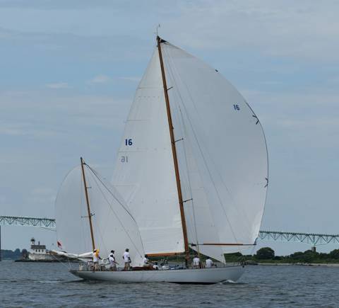 NYYC 175 photo 216