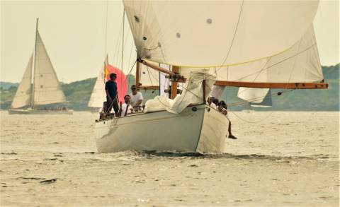 NYYC 175 photo 217