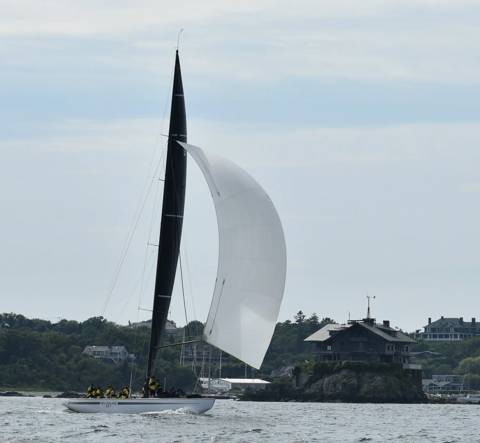 NYYC 175 photo 221