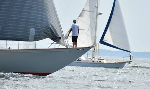 NYYC 175 photo 225